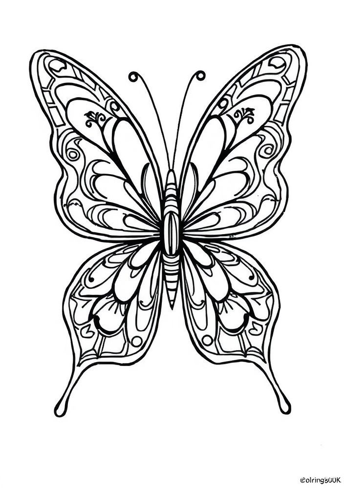 Borboleta Abstracta com Padrões Geométricos para Colorir