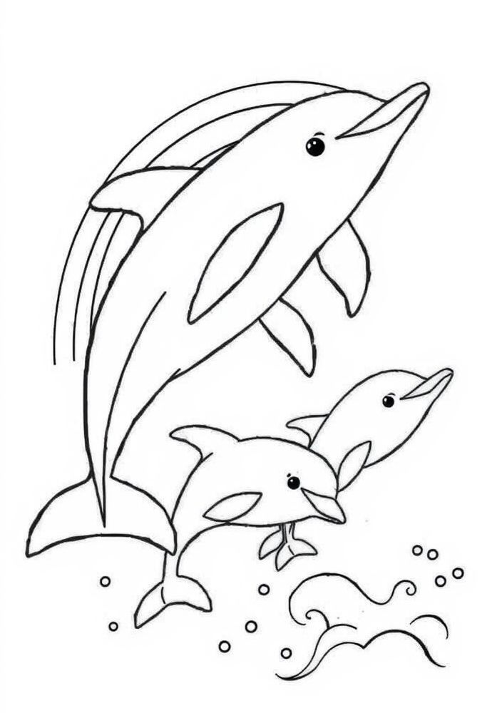 Desenho de Arco-íris e golfinhos brincando para colorir
