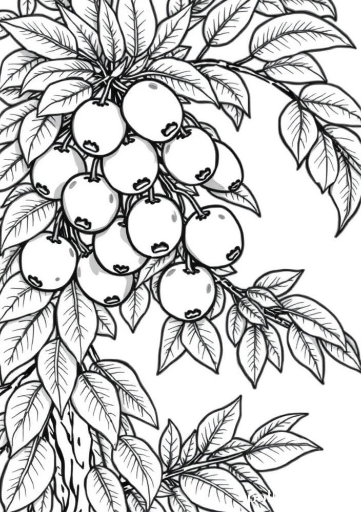 Desenho de Árvore Frutífera para colorir