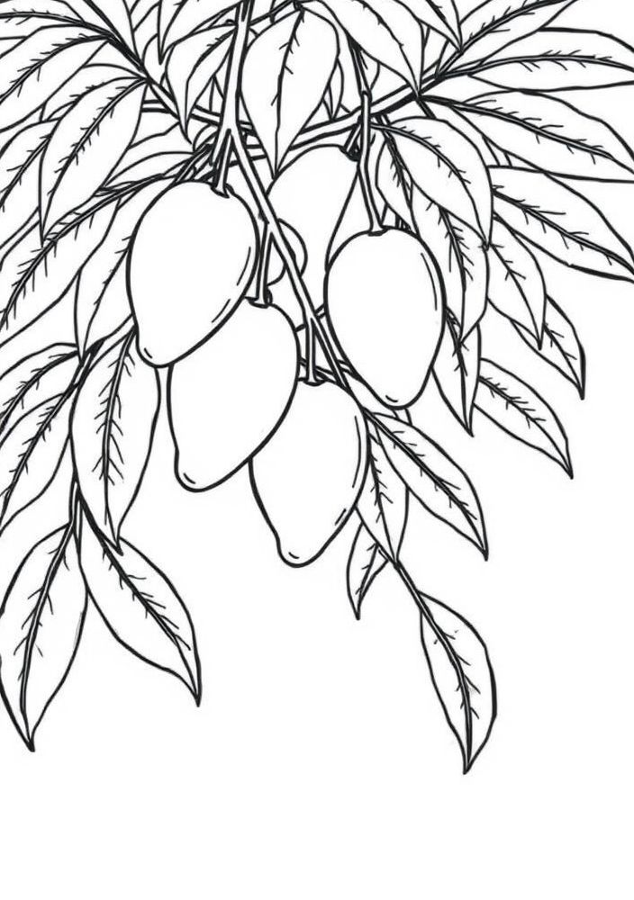 Desenho de Árvore de Mangueira para colorir