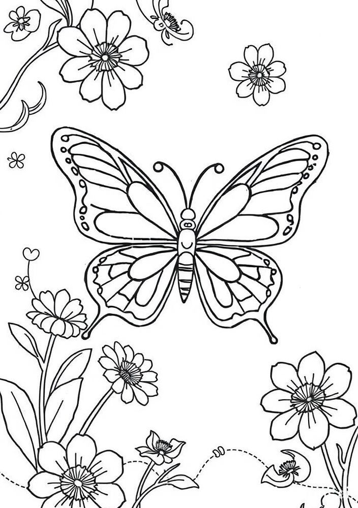 Desenho de Borboleta Colorida para Colorir