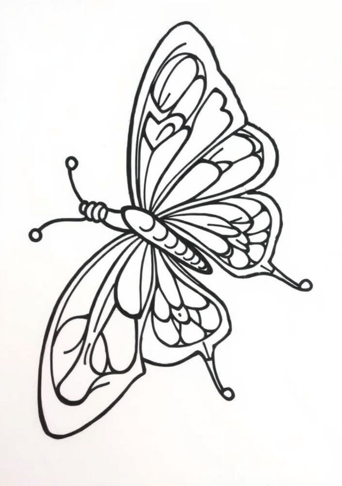 Desenho de Borboleta Tribal para Colorir