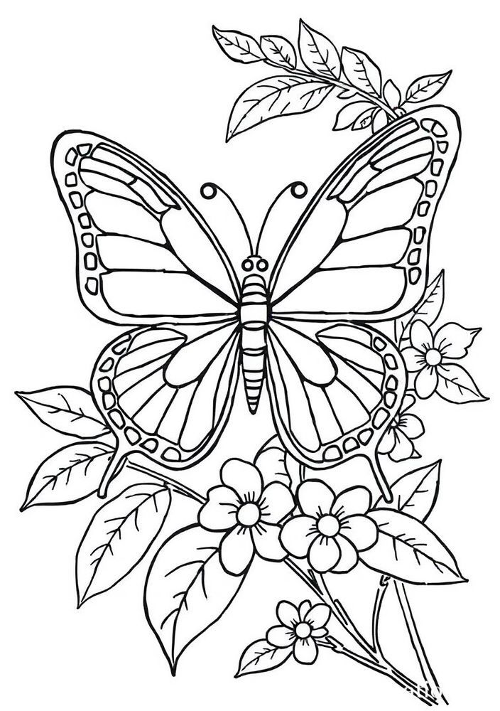 Desenho de Borboleta com Elementos Naturais para colorir