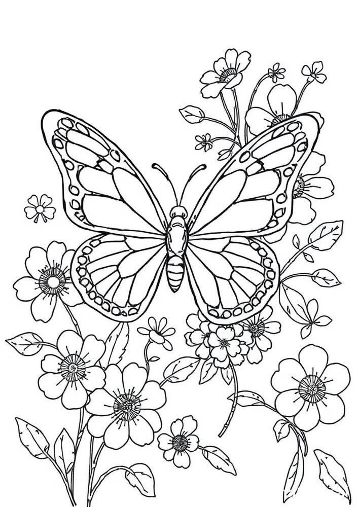 Desenho de Borboleta com Flores para Colorir