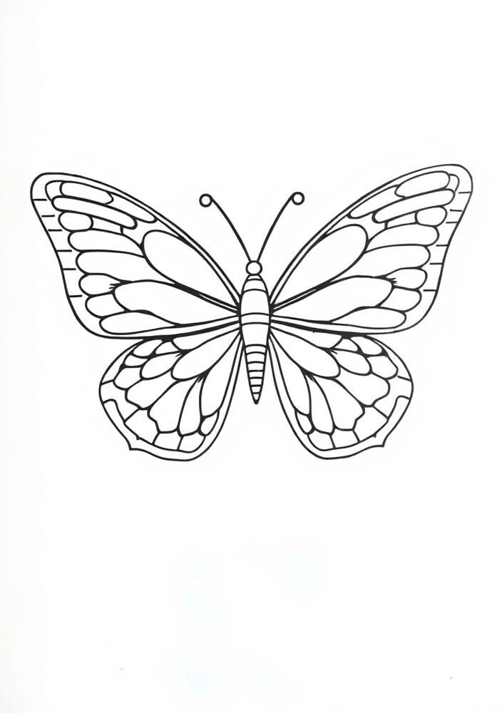 Desenho de Borboleta com Padrões de Escamas para Colorir