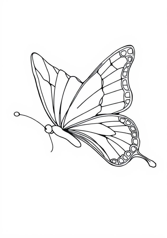 Desenho de Borboleta em Voo para colorir
