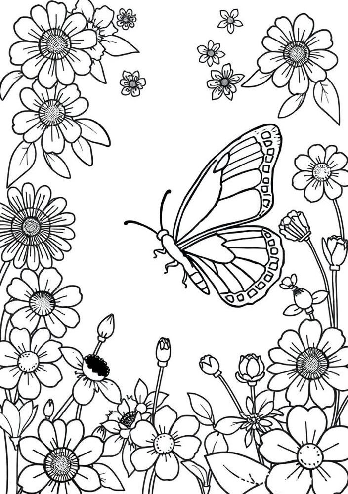 Desenho de Borboleta no Jardim para colorir