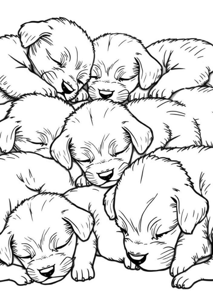 Desenho de Cachorrinhos Dormindo para Colorir