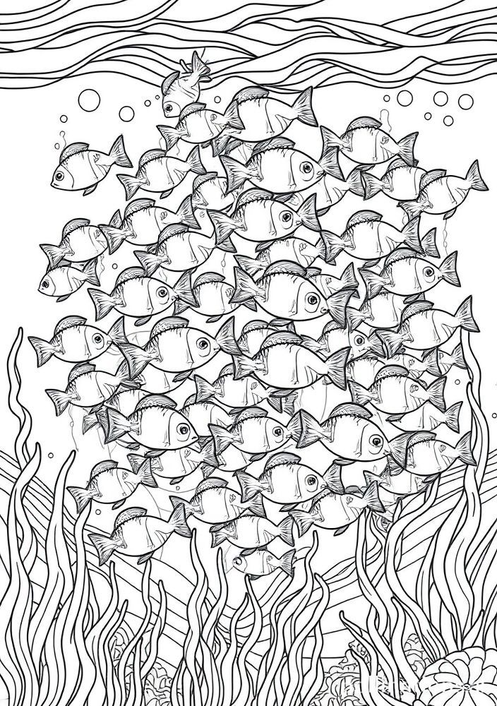 Desenho de Cardume de Peixes para colorir