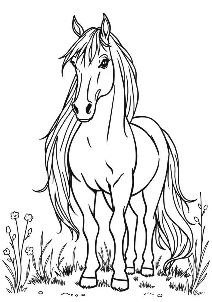 Desenho de Cavalo com Cabelo Longo para colorir