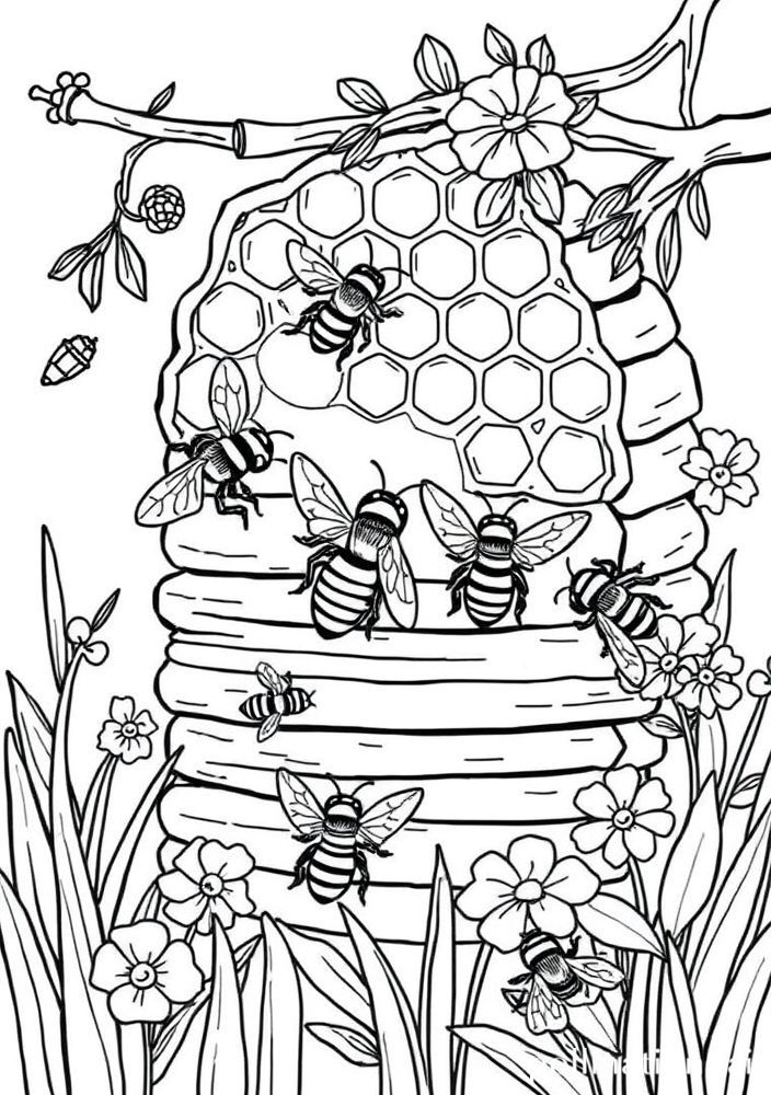 Desenho de Colmeia com Abelhas para colorir