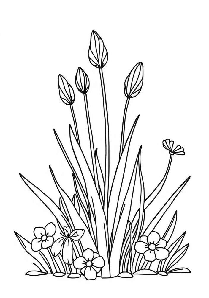 Desenho de Flores de Cebolinha para Colorir