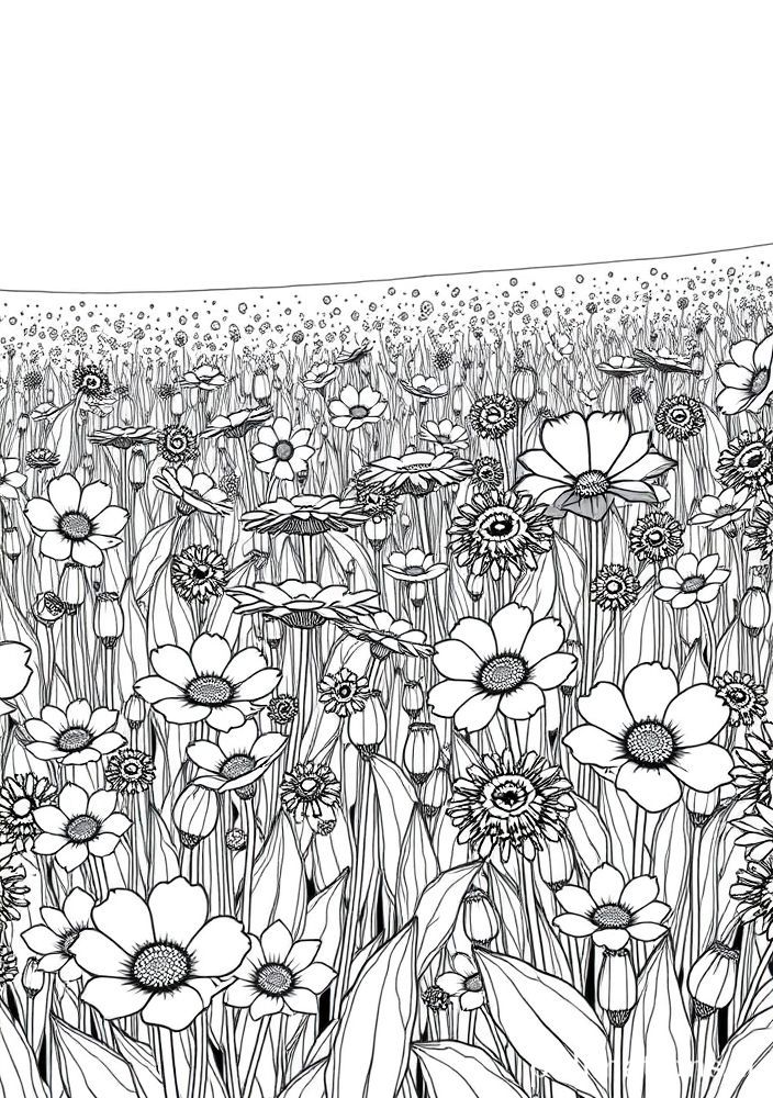 Desenho de Flores do Campo para colorir