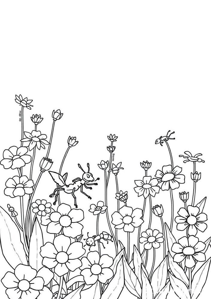 Desenho de Formigas em um Jardim com Flores para Colorir