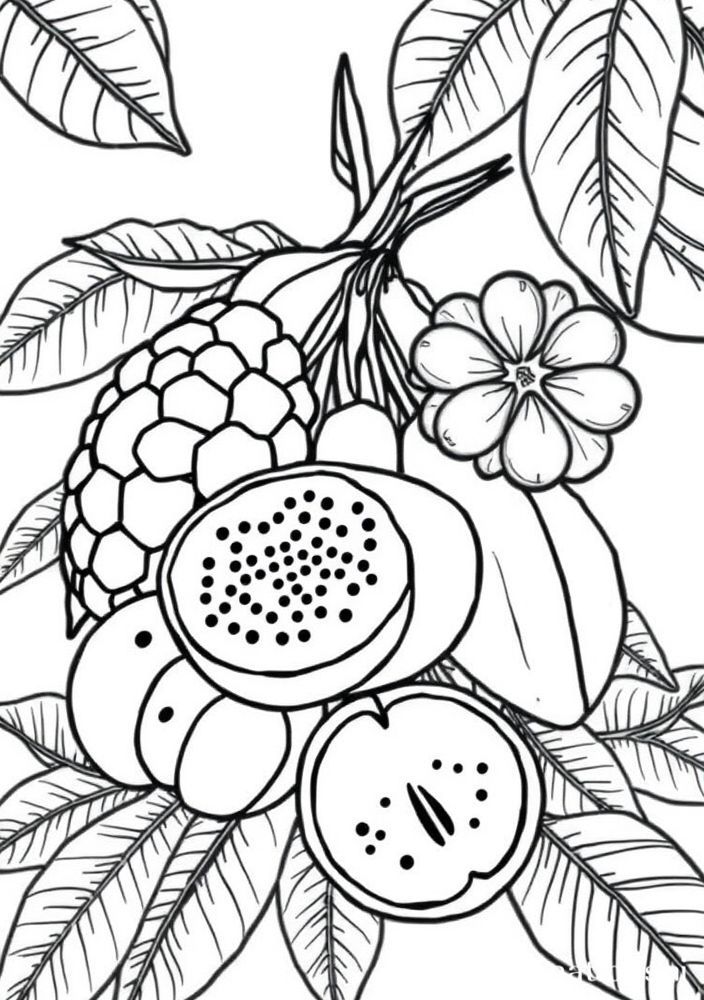 Desenho de Frutas Exóticas para Colorir