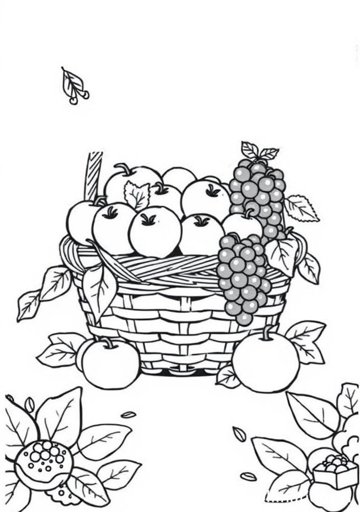 Desenho de Frutos do Jardim em uma Cesta para Colorir