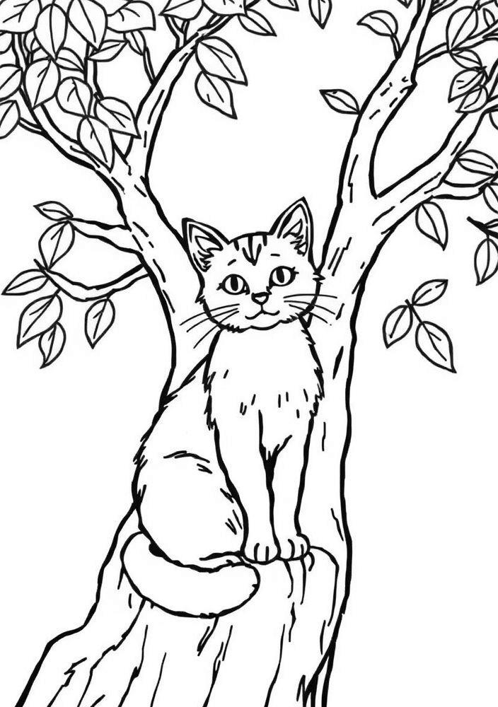 Desenho de Gato em uma Árvore para colorir