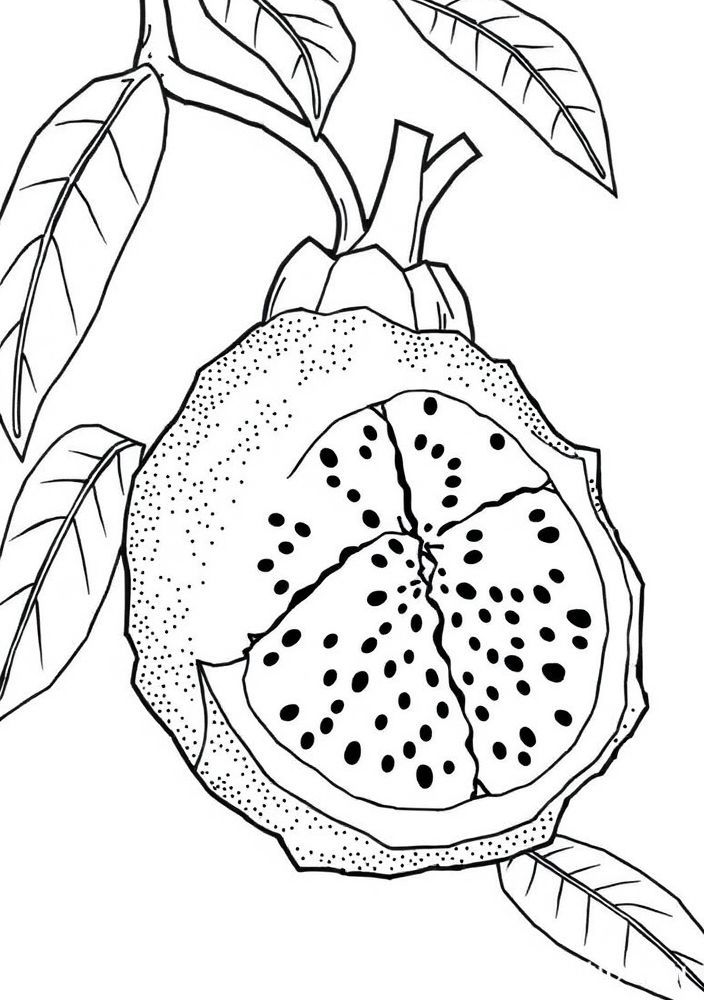 Desenho de Jaca Gigante para colorir