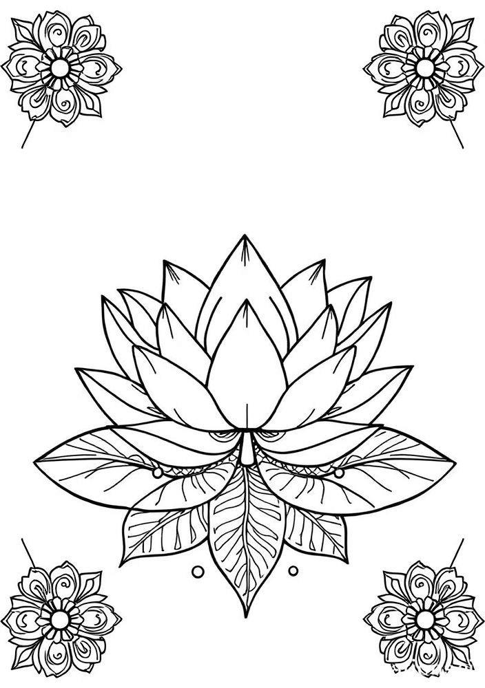 Desenho de Lótus para colorir