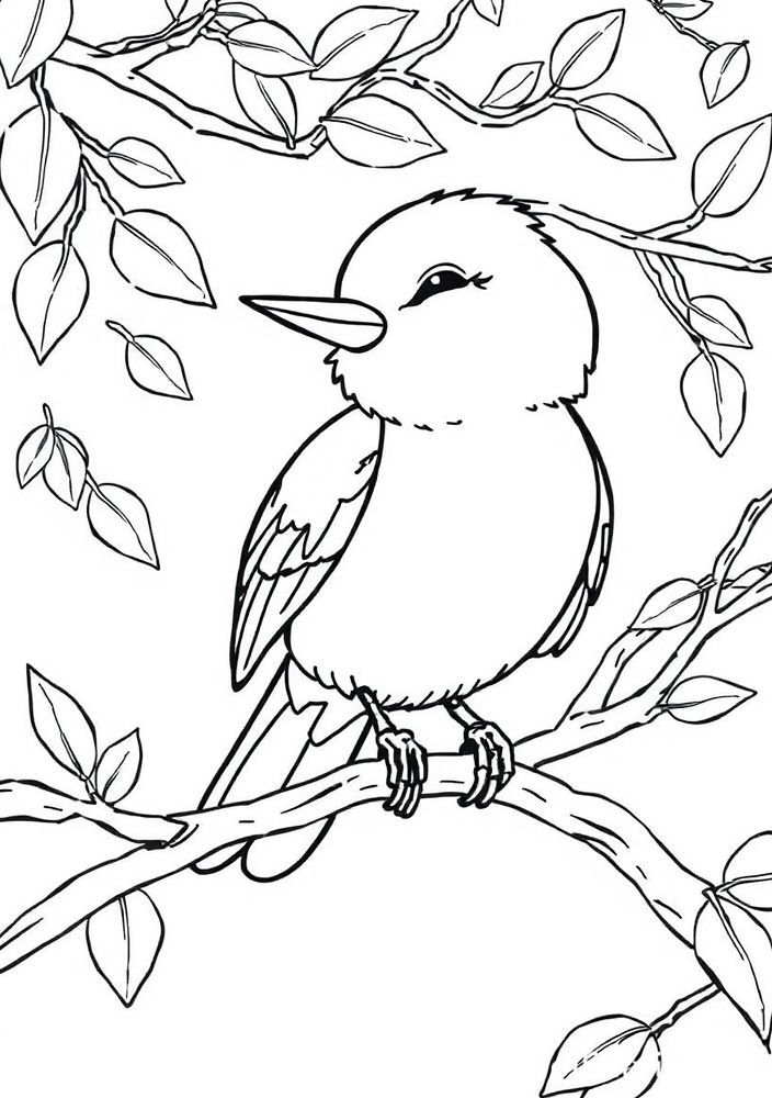 Desenho de Pássaro Cantor para colorir