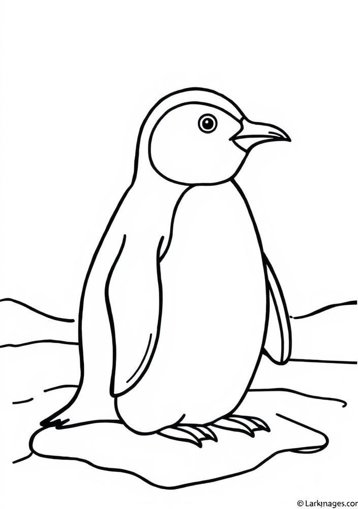 Desenho de Pinguim no gelo para colorir