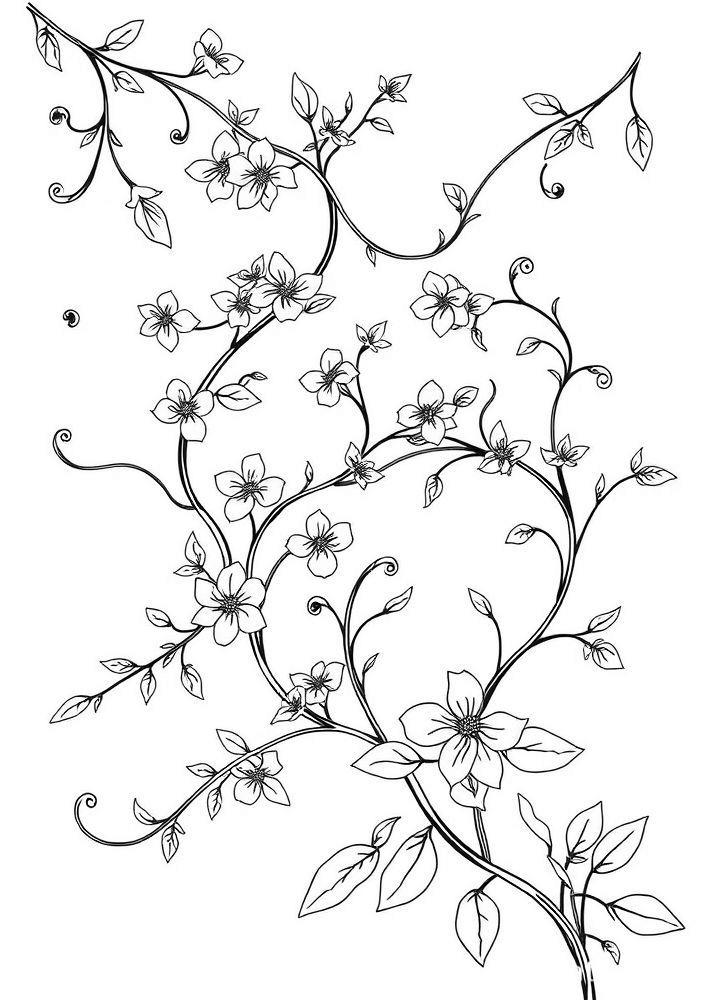Desenho de Ramos Florais para colorir