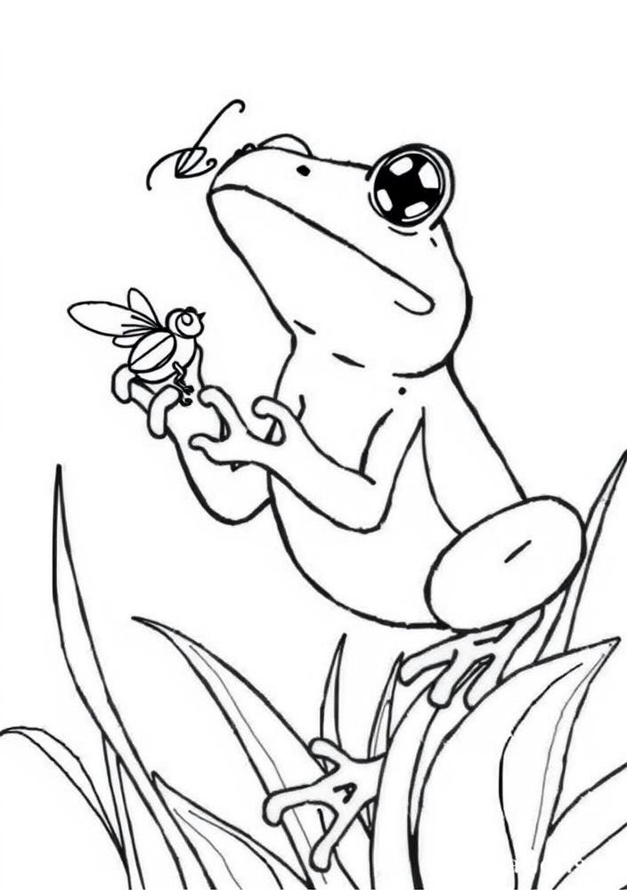 Desenho de Sapo Comedor de Moscas para Colorir