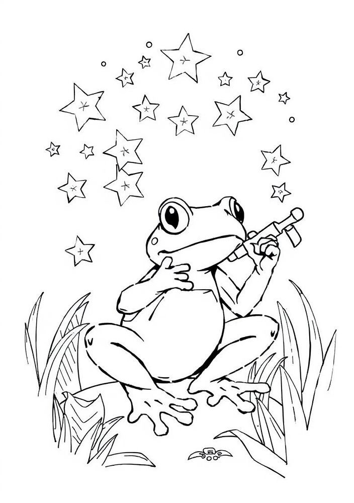 Desenho de Sapo Fixando Estrelas para colorir