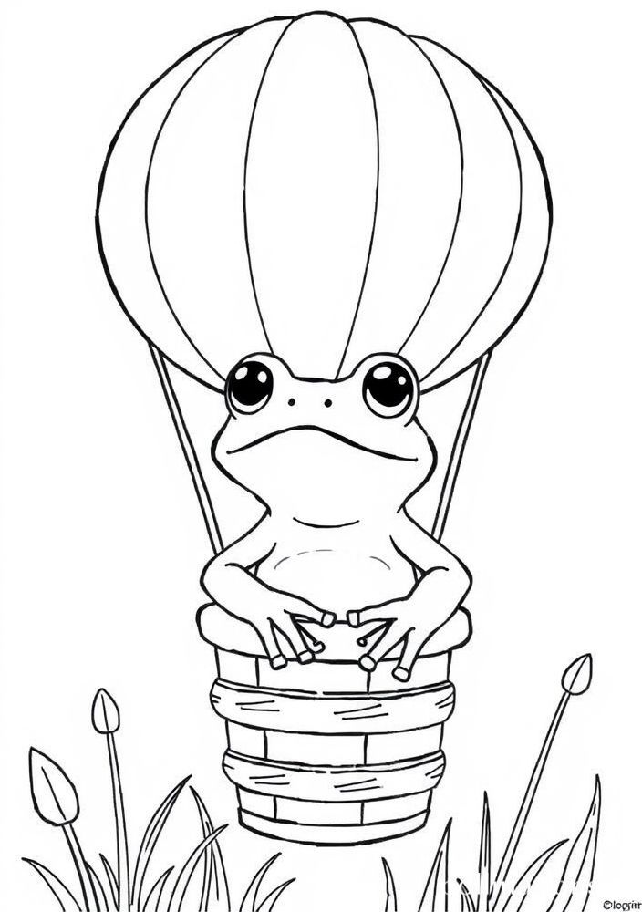 Desenho de Sapo em um Balão de Ar Quente para Colorir