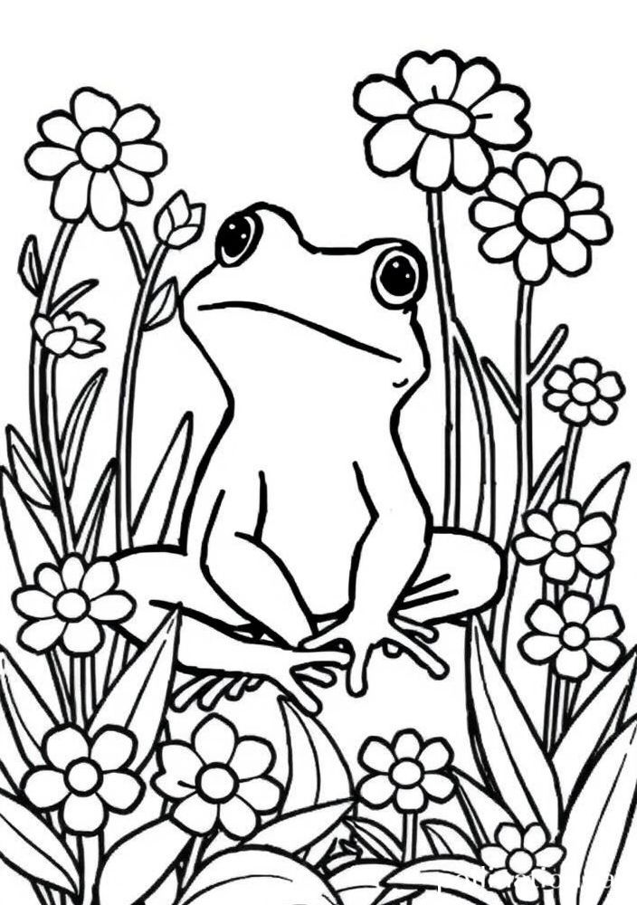 Desenho de Sapo no Jardim com Flores para Colorir