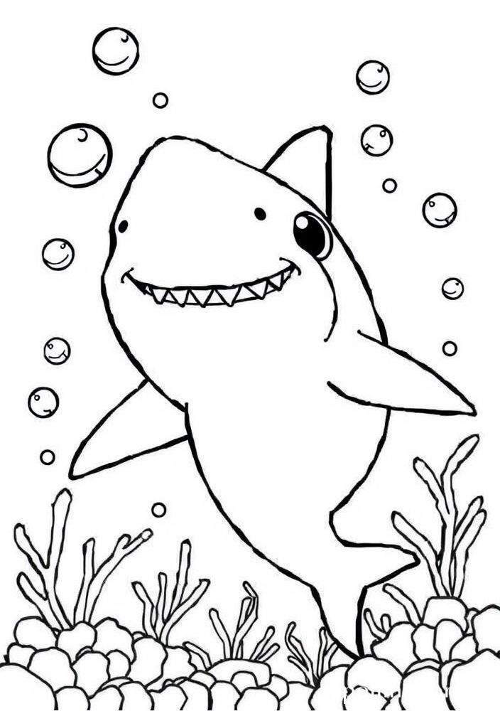 Desenho de Tubarão Brincalhão para colorir