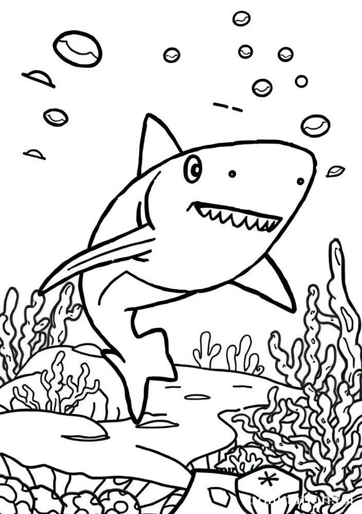 Desenho de Tubarão em um aquário para Colorir
