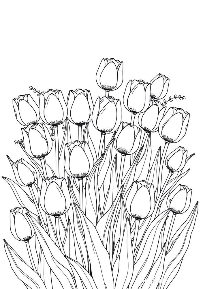 Desenho de Tulipas para colorir