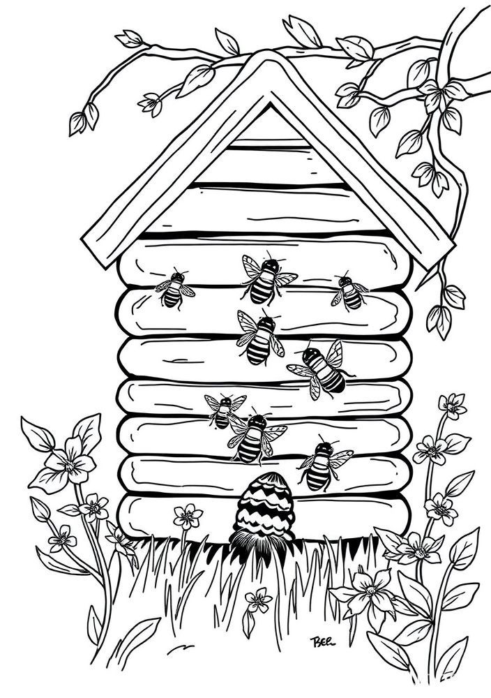 Desenho de colmeia com abelhas para colorir