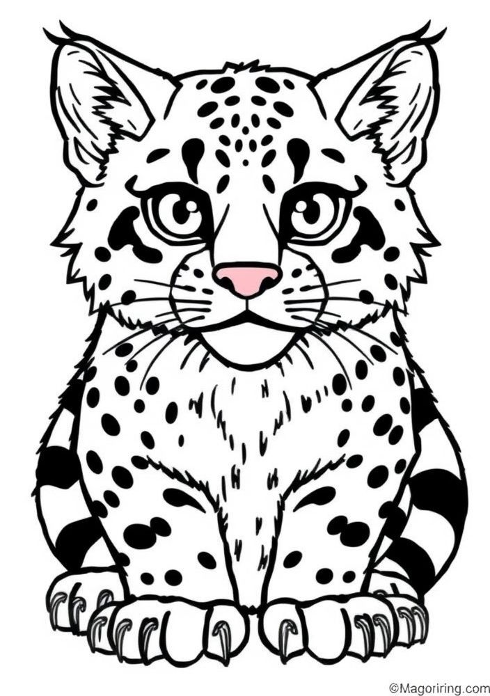 Desenho de uma ocelote para colorir