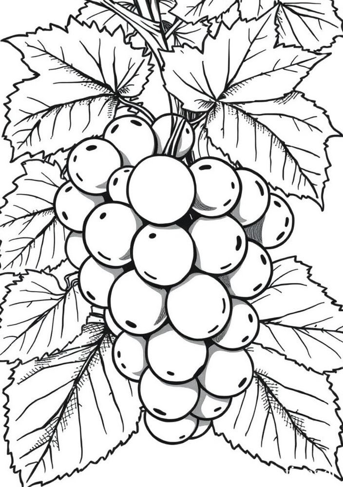 Desenho de uvas para colorir