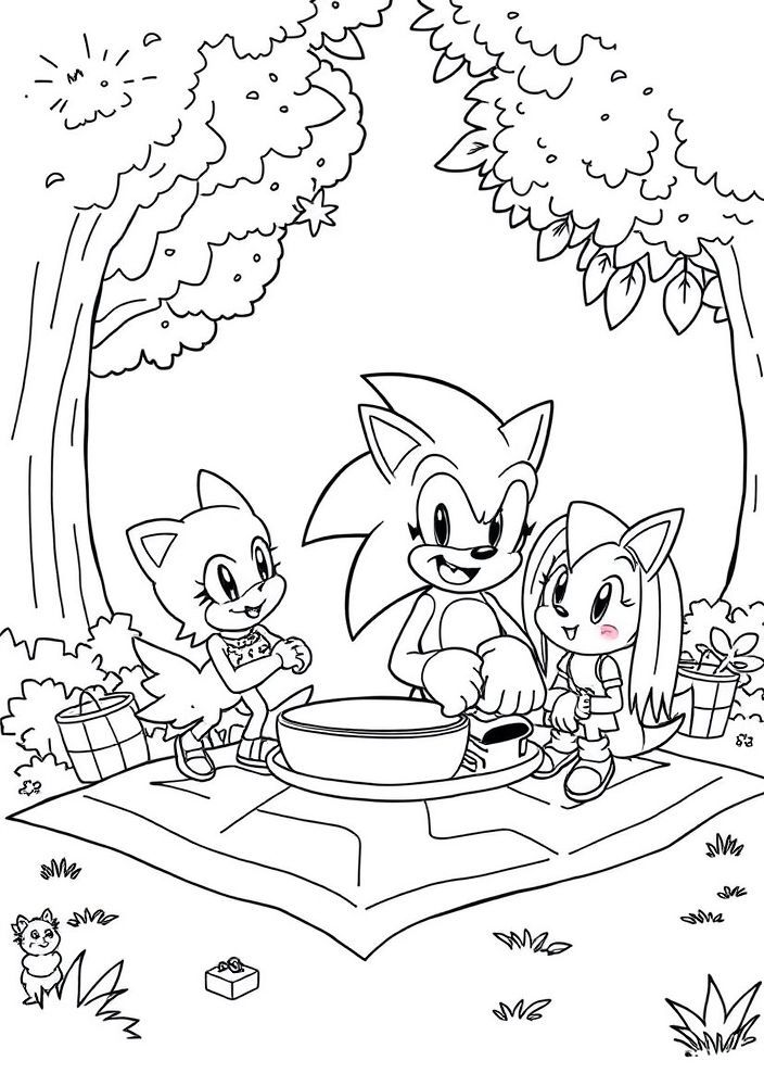 Desenho do Sonic e amigos em piquenique