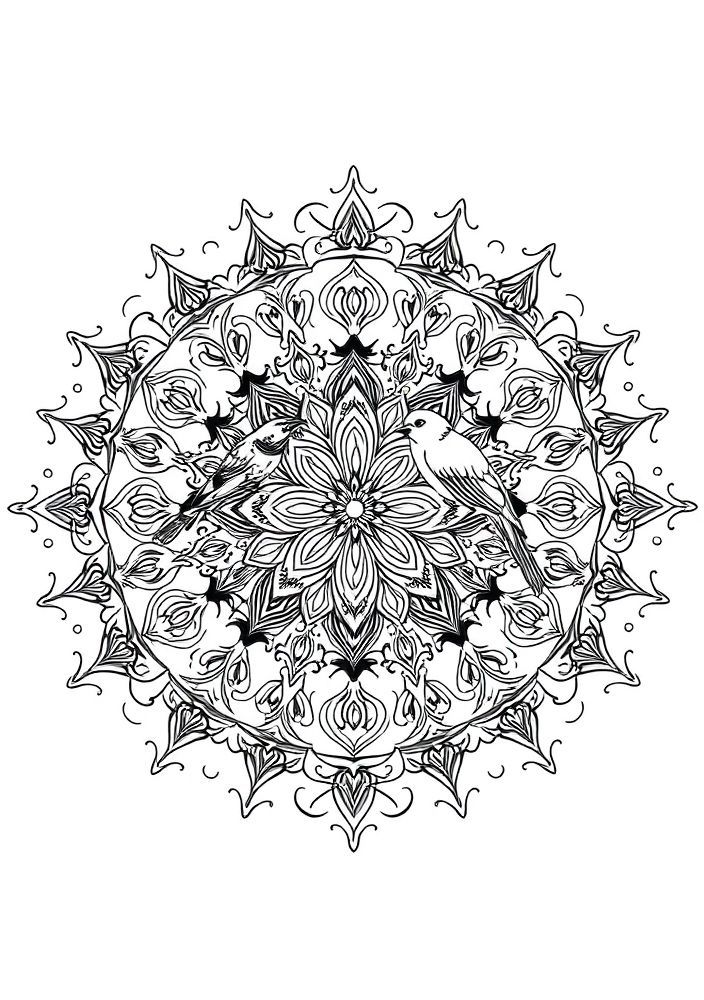 Mandala de Pássaros para Colorir