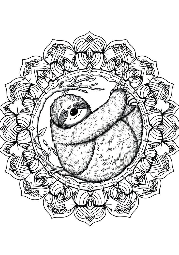 Mandalas de Bicho-preguiça para colorir